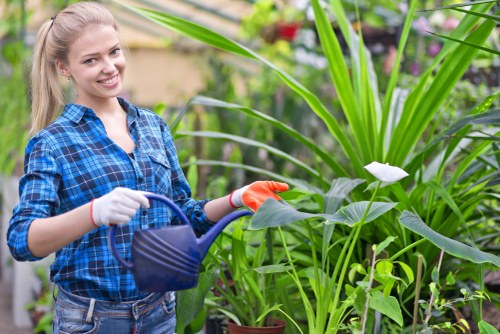 Transparent landscaping quote for Putney garden work