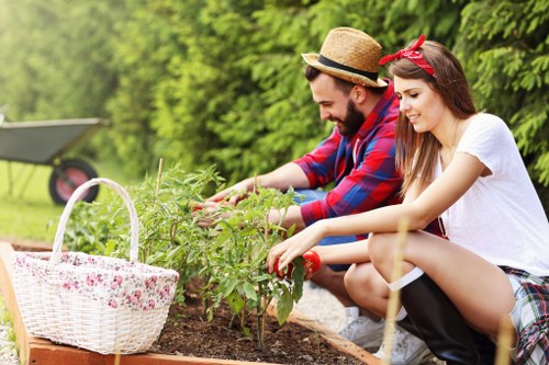 Garden design and build project in a Putney residential garden