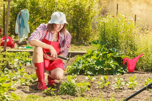 Local Putney garden turfing and planting for residential outdoor spaces