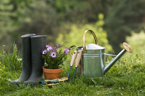 Landscaping team preparing an outdoor project with plants and tools