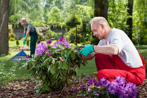 Modern garden design features for a Putney property
