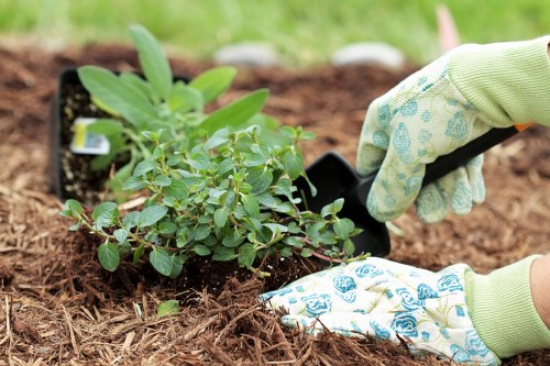Worker reviewing site hazards before beginning landscaping tasks