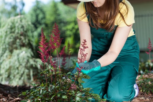 Encrypted online checkout for Landscaping Putney services