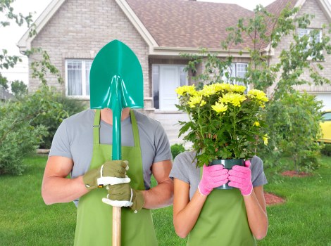 A residential and commercial garden makeover example in Putney